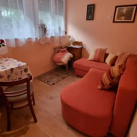 Bianka Vendeghaz Prázdninový dům *