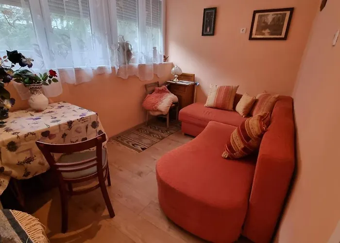 Bianka Vendeghaz Semesterbostad *